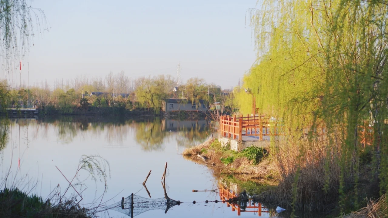 校园环境